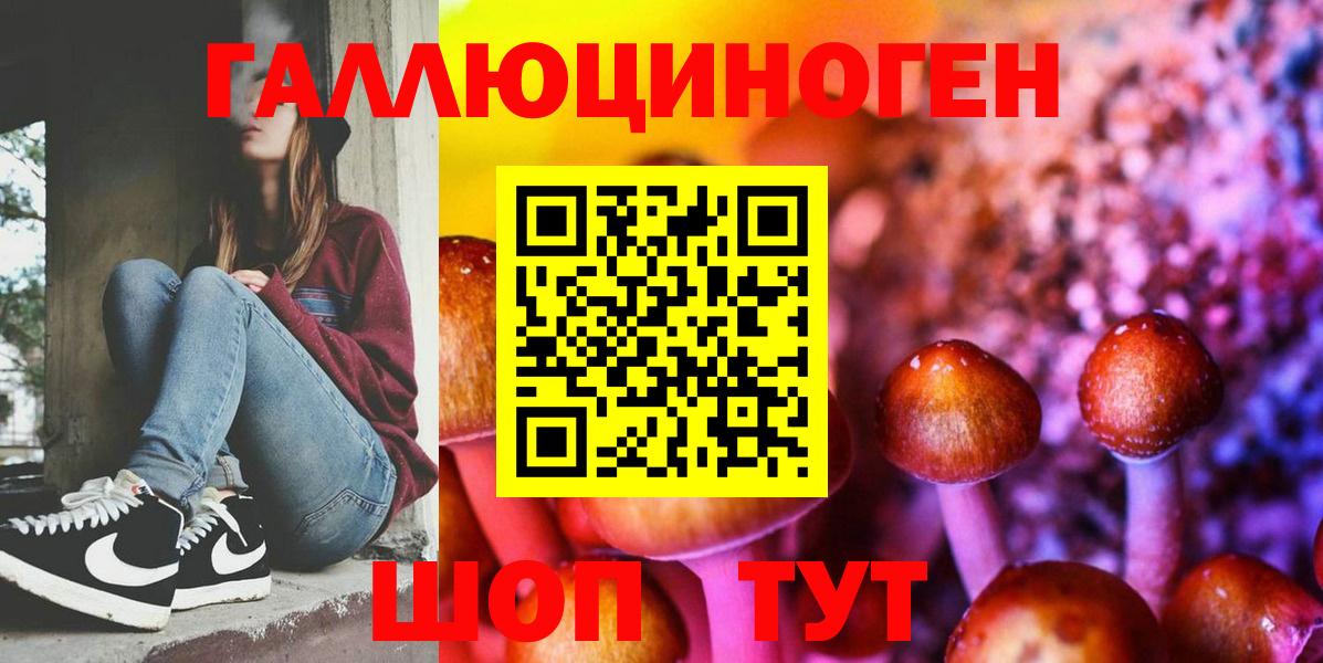 Псилоцибиновые грибы мицелий Кемерово