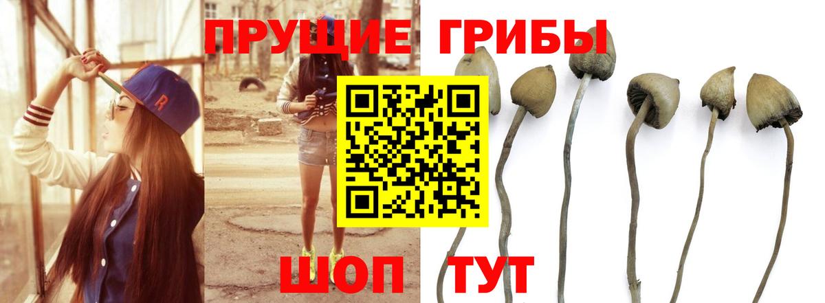 Галлюциногенные грибы GOLDEN TEACHER  Вход с VPN  Кемерово  Галлюциногенные грибы ЛСД 